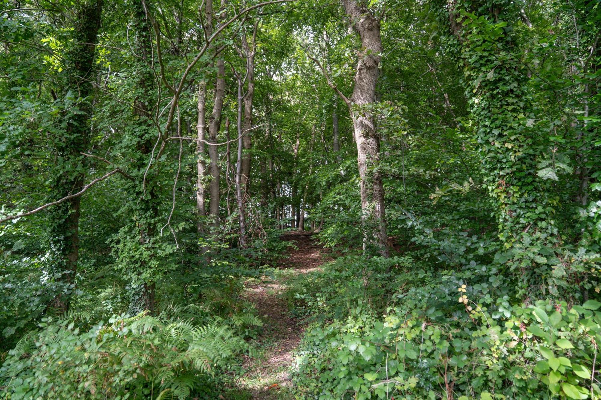 Gites 4,6 Personnes Fecamp Etretat Colleville Exterior photo